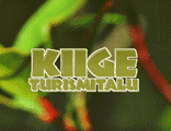 Kiige Turismitalu